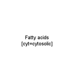 Fatty acids [cyt=cytosolic]